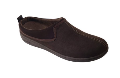 BIOTIME # ERIC BRUN BIOTIME # ERIC BRUN